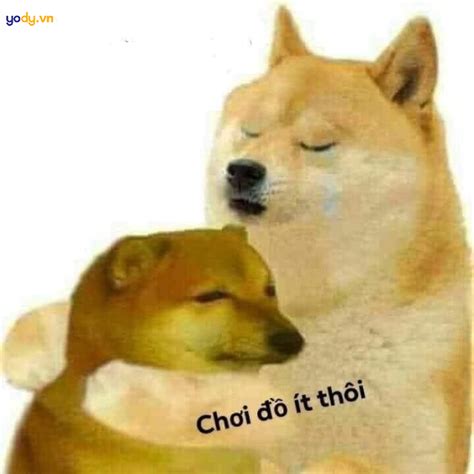 Tuyển tập 50+ ảnh meme Cheems hài hước, bá đạo và vui nhộn