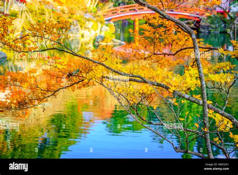 Autumn forest with river Stock Photo - Alamy