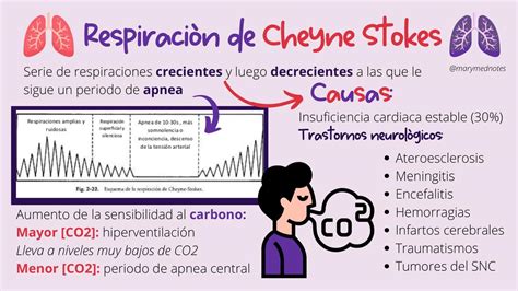 Respiración de Cheyne-Stokes | Mary Mednotes | uDocz