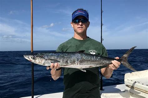 King Mackerel | NOAA Fisheries