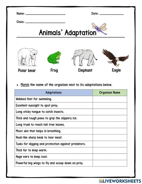 Animal Adaptation Worksheet Practice & Free Activities - Worksheets Library