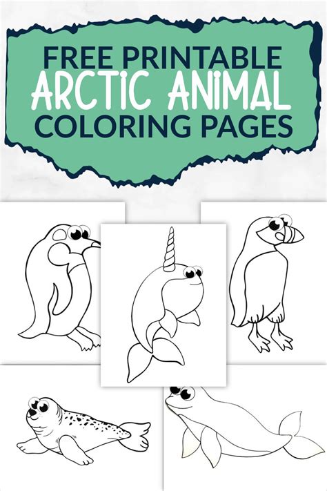 Arctic Animals For Kids Coloring Pages / Children would just love them ...