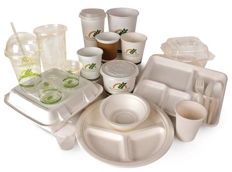 Eco-Friendly products | Biodegradable products, Disposable plates ...