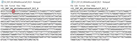 Exported the Fasta sequence file after editing | Download Scientific ...