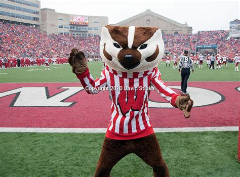 Bucky Badger | David Stluka Photography