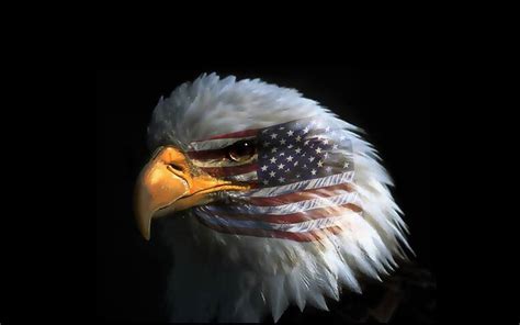 American Flag Eagles Wallpapers - Top Free American Flag Eagles ...