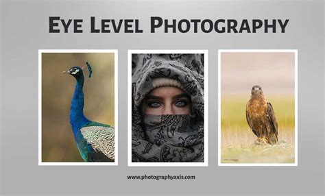 Eye Level Photography – How It Helps to Improve Images? - PhotographyAxis