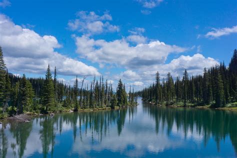 Best Hikes in Flathead National Forest (MT) | Trailhead Traveler