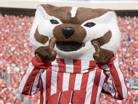 Buckingham U. Badger is Wisconsin's mascot. | UW Spirit Squad | Pinterest