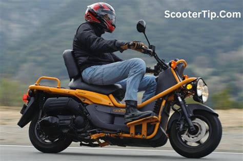 What Is The Honda Ruckus Top Speed? (Secret REVEALED!) 2024 » Scooter Tip