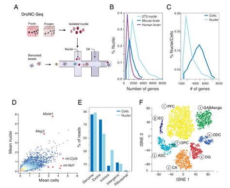 DroNc-Seq – Massively parallel single nucleus RNA – Seq | RNA-Seq Blog