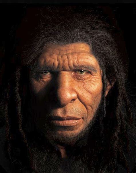 The reconstructed face of a Neanderthal man sculpted and designed over ...