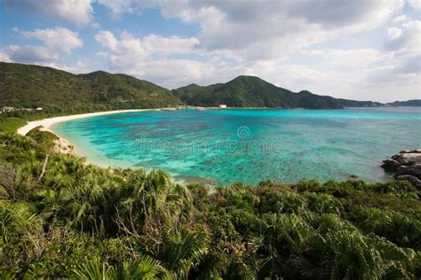 Coral Reef Next To The Beach In Okinawa, Japan Stock Photo - Image: 7775770