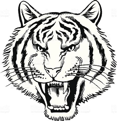 White Tiger Png Clipart | Free download on ClipArtMag