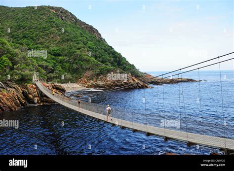 Suspension bridge at Storms River mouth, Tsitsikamma National Park ...