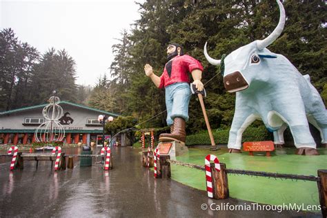 Trees of Mystery: Giant Paul Bunyan, Crazy Trees and a Gondola Ride ...