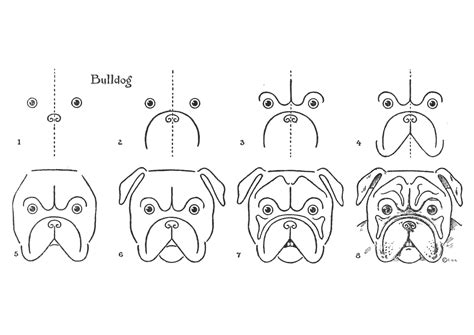 How to Draw a Bulldog Face Step by Step Instruction | Free Printable ...