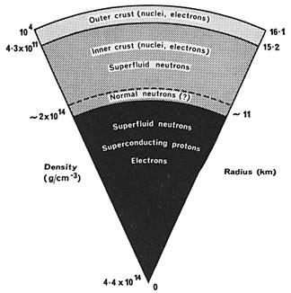 Internal structure of a neutron star