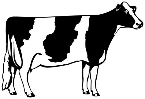 Cow Outline - ClipArt Best