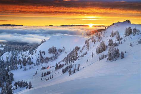 Squaw Valley Alpine Meadows Ski Resort | California Ski Resorts ...