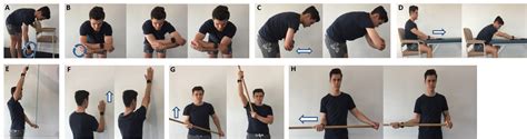 Electromyographic Evaluation of Early-Stage Shoulder Rehabilitation ...