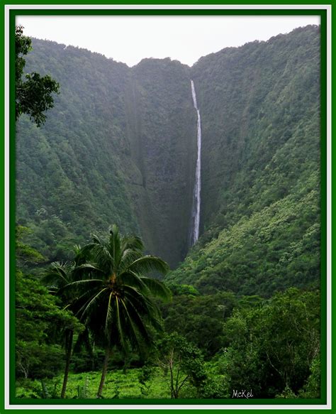 one of the waterfalls in Waipio Valley | Scenery, Beautiful places, Waipio