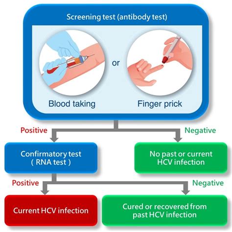 Viral Hepatitis Control Office - What is Hepatitis - Hepatitis C