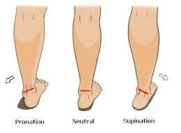 Foot pronation and supination explained by physiotherapists ...