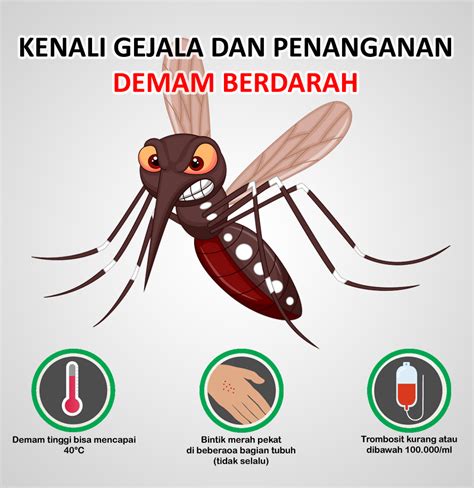 Kenali Gejala dan Penanganan Penyakit Demam Berdarah (Nyamuk Aedes ...