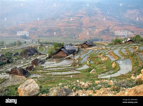 Vietnam. North Vietnam. Sapa area. Rice fields Stock Photo - Alamy