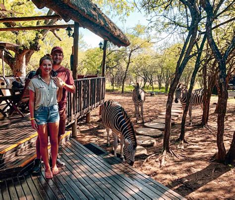 Complete Guide to Safari in Kruger National Park, South Africa - Stoked ...