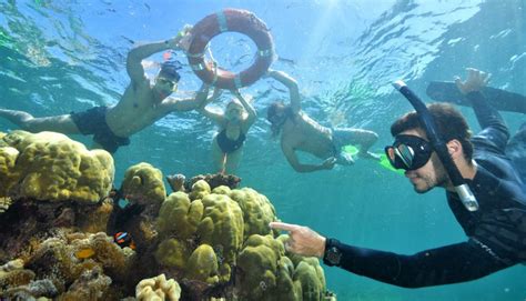 Cairns & Great Barrier Reef shows support for China - Tropical North ...