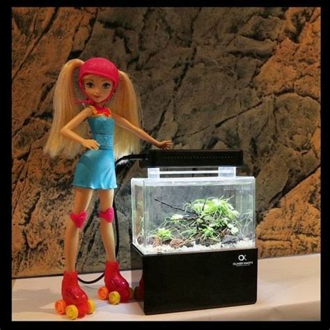 I put Catherine’s Barbie doll in the fish tank Fish Tank, Barbie Dolls ...