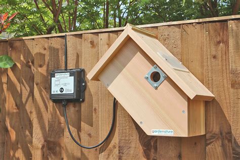 Digital Wireless Side View Bird Box Camera | Gardenature