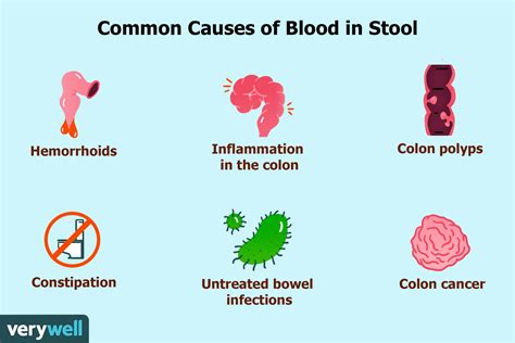 Bright Red Blood in Stool: Causes and When to See a Doctor