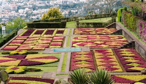 Botanical garden in Funchal on the ... | Stock image | Colourbox