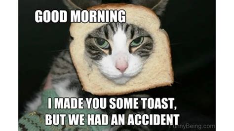 80 Perfectly Accurate & Funny Good Morning memes to kick-start your day