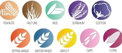 Classification of Crop Plants in Agriculture: Agronomic Classification