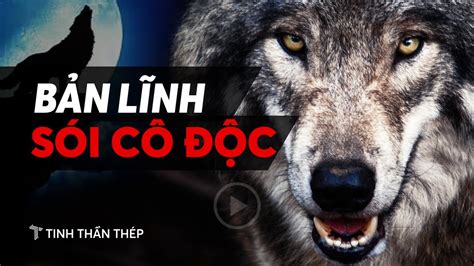 Bộ Sưu Tập Hình Ảnh Sói Cô Độc Cực Đỉnh Full 4K Với Hơn 999+ Tấm Hình