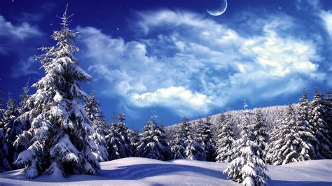 Winter Wonderland background ·① Download free stunning High Resolution ...