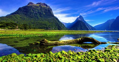 Milford Sound In New Zealand: A Guide To This Wonder Of Nature