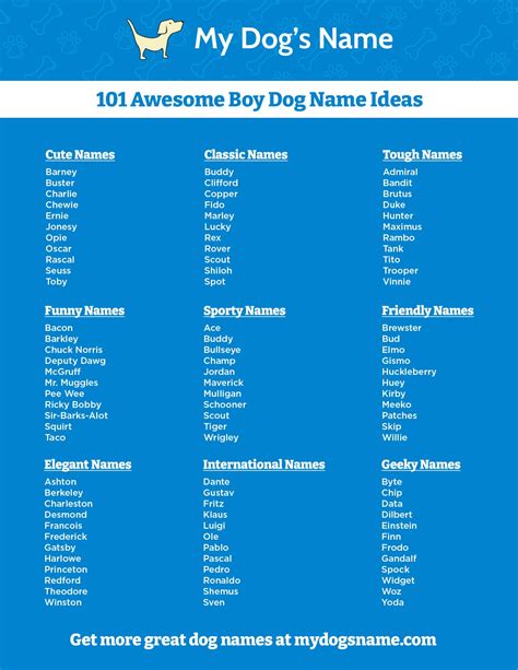 Boy Dog Names - 350 Ideas for Male Puppies - My Dog's Name