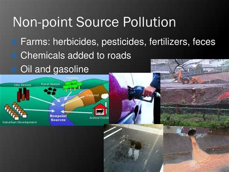 PPT - Water pollution PowerPoint Presentation, free download - ID:2640828