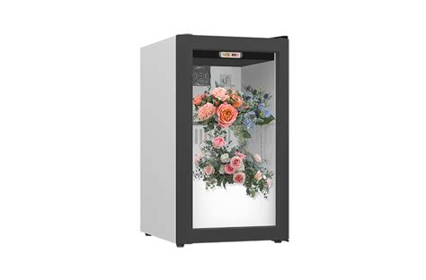 Floral Cooler Fridge in 1 2 3 Doors for Flower Storage Display & Promotion