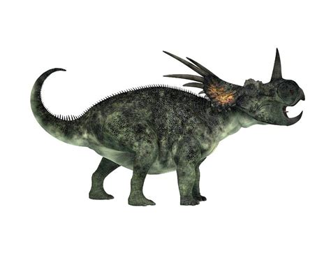 Styracosaurus Facts, Habitat, Diet, Fossils, Pictures