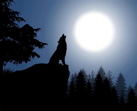 Wolf Moon - Hernando Sun