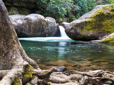 The 6 Best Great Smoky Mountains Waterfalls and Swimming Holes