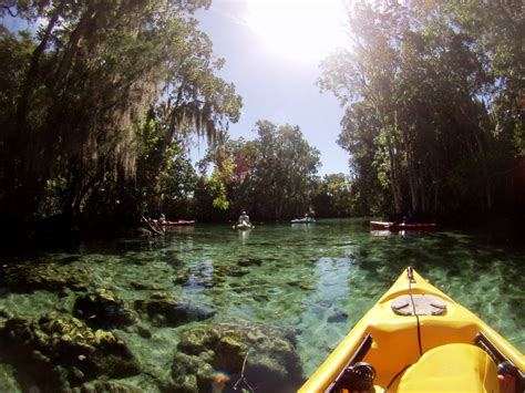 Travel to Florida: My Brief Visit to Three Sisters Springs - Solo ...