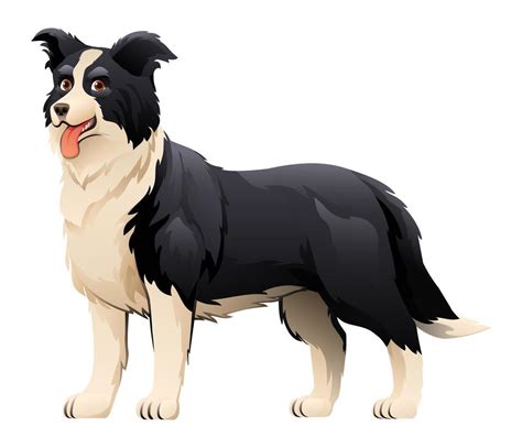 Border collie dog vector cartoon illustration 18778915 Vector Art at ...