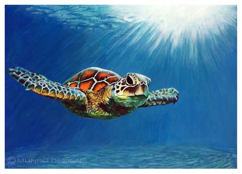 Sea Turtle Painting Canvas at PaintingValley.com | Explore collection ...